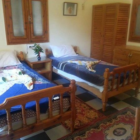 לוקסור Amon Hotel מראה חיצוני תמונה