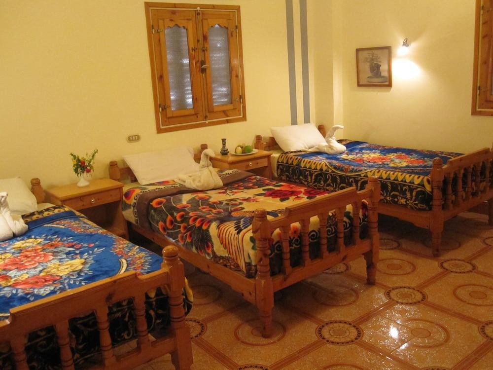 לוקסור Amon Hotel מראה חיצוני תמונה
