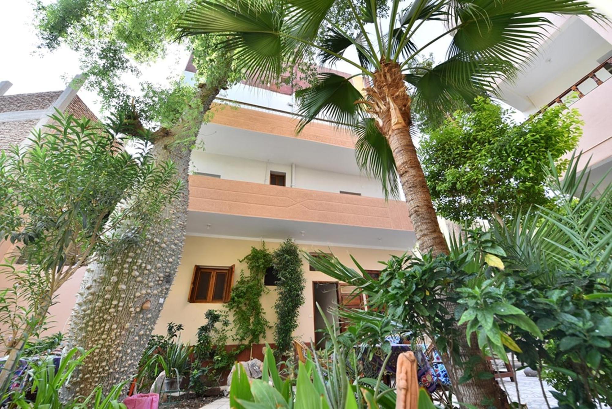 לוקסור Amon Hotel מראה חיצוני תמונה
