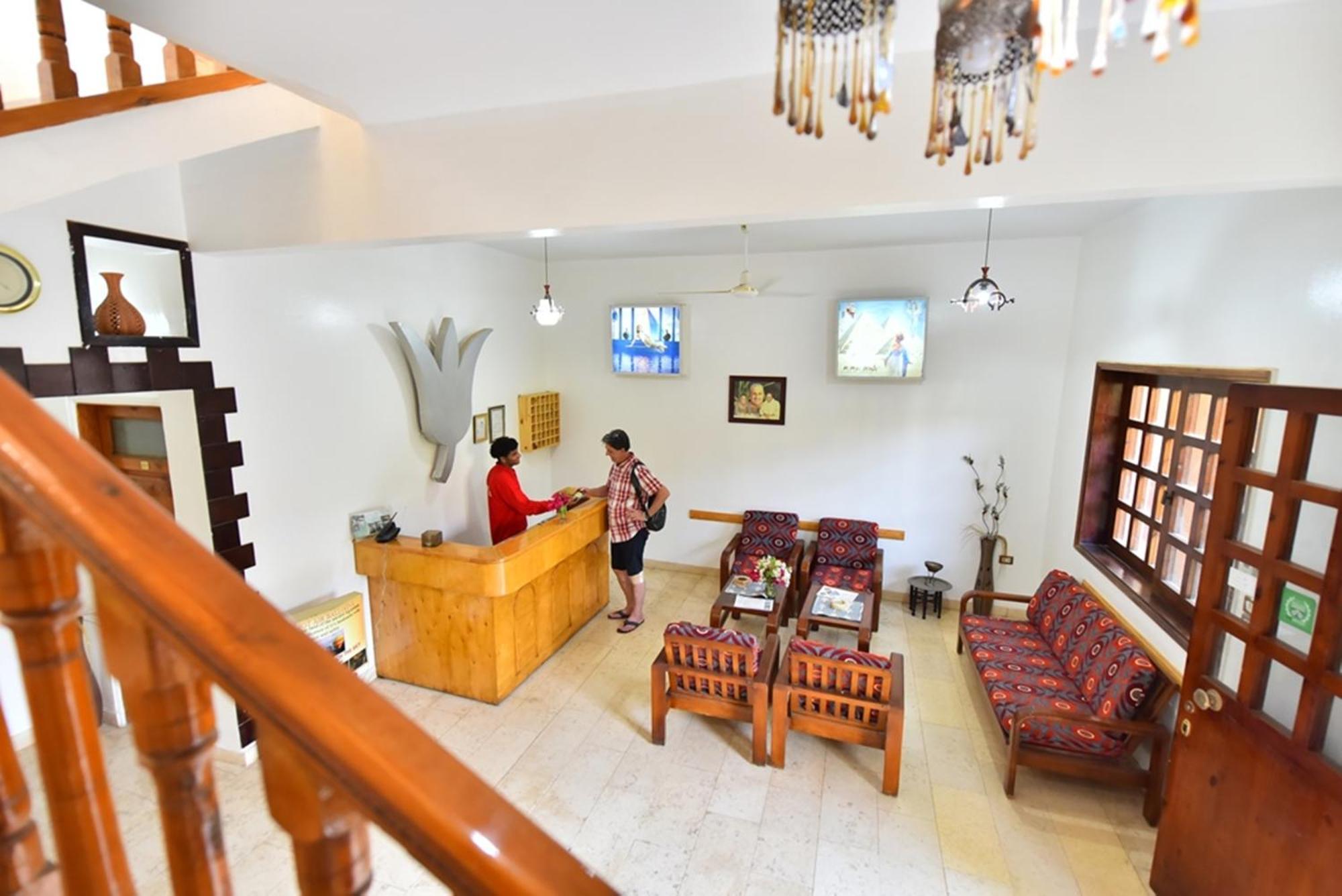 לוקסור Amon Hotel מראה חיצוני תמונה