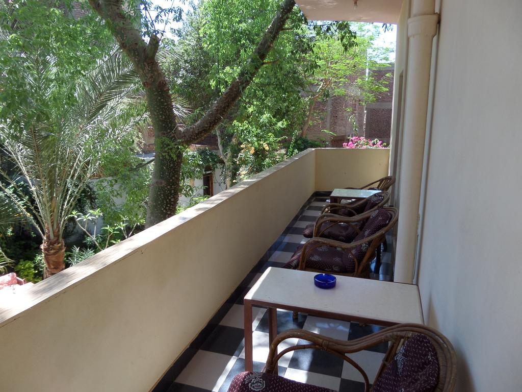 לוקסור Amon Hotel מראה חיצוני תמונה