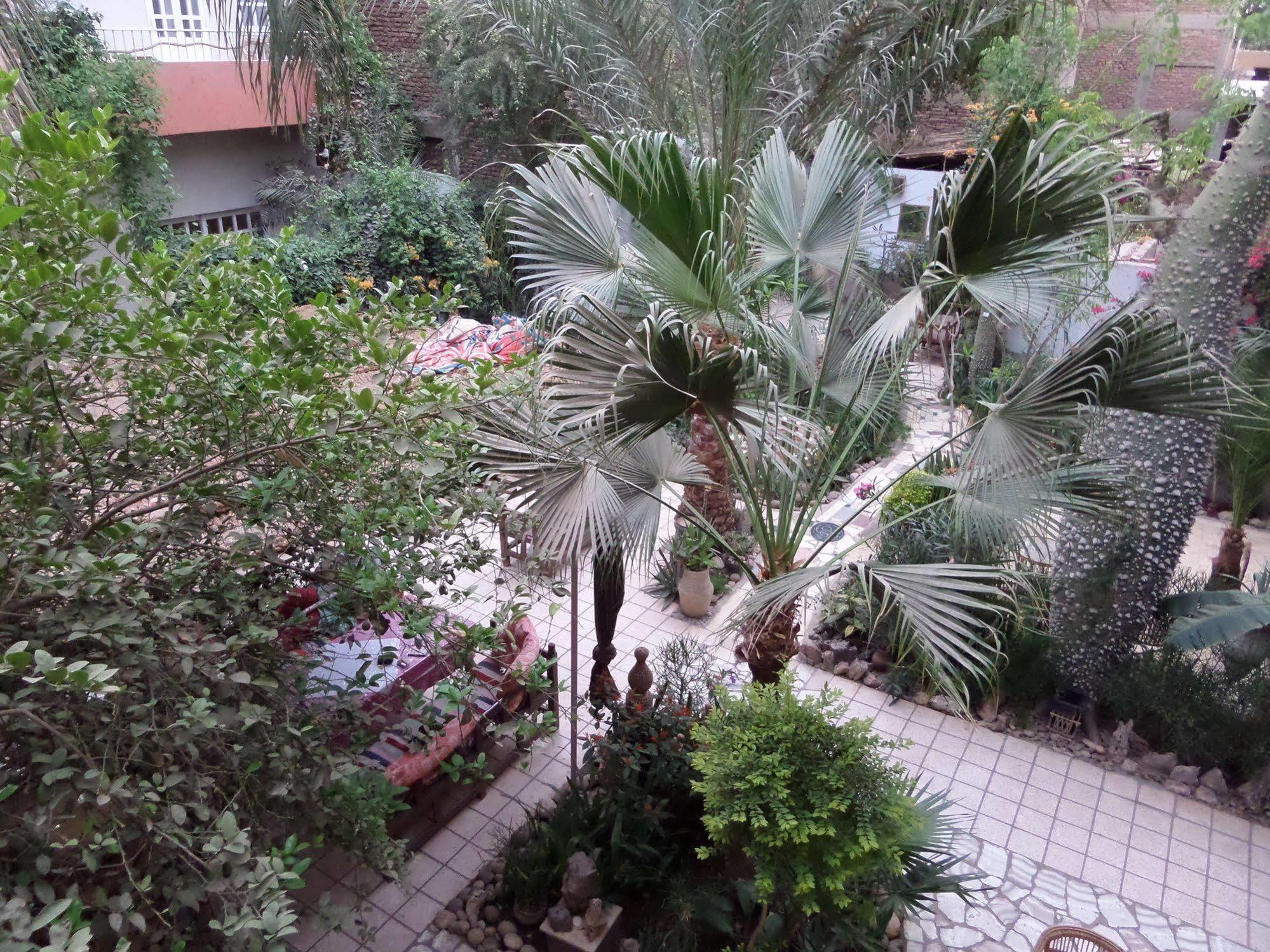 לוקסור Amon Hotel מראה חיצוני תמונה