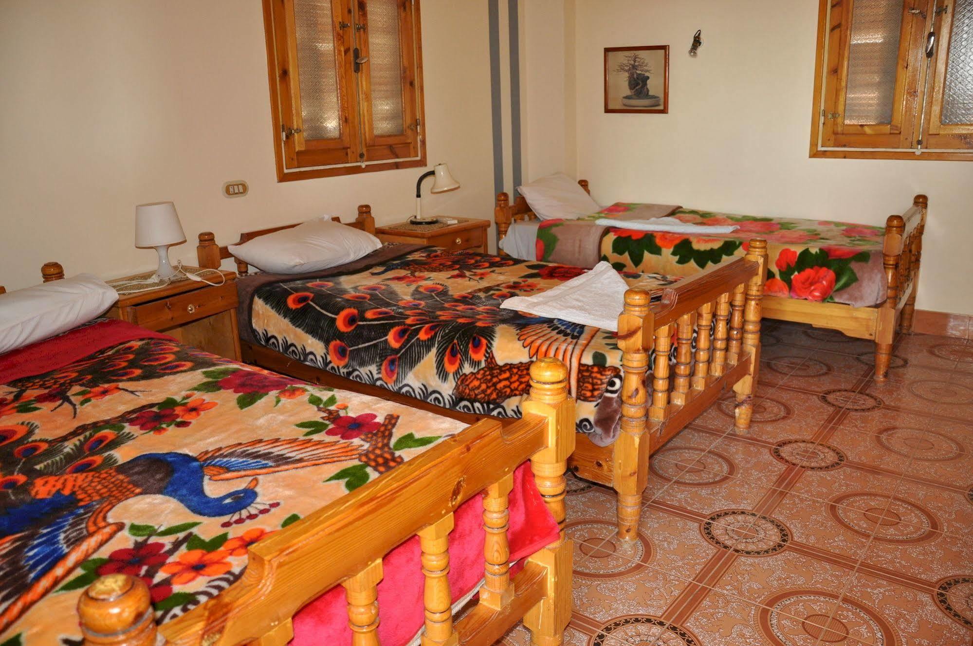 לוקסור Amon Hotel מראה חיצוני תמונה