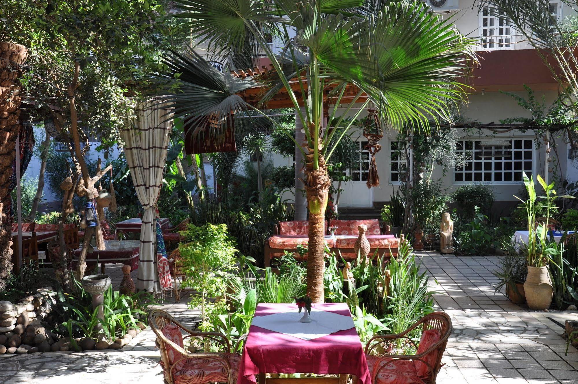 לוקסור Amon Hotel מראה חיצוני תמונה
