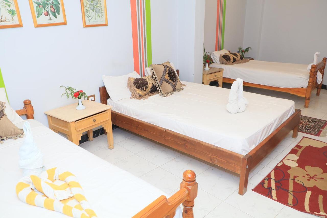 לוקסור Amon Hotel מראה חיצוני תמונה