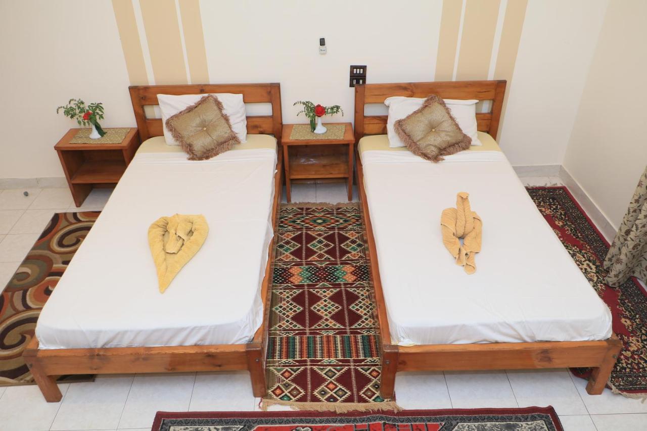 לוקסור Amon Hotel מראה חיצוני תמונה