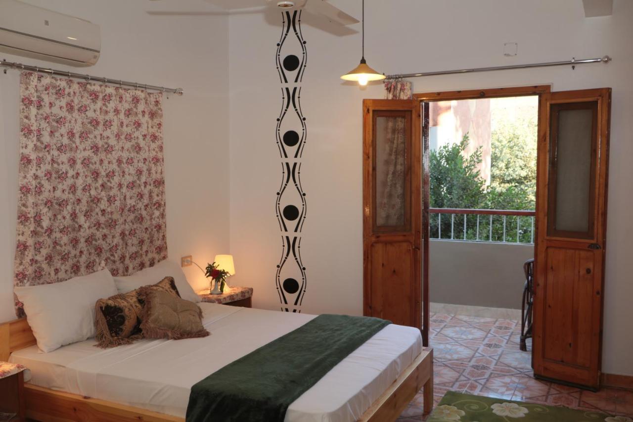 לוקסור Amon Hotel מראה חיצוני תמונה