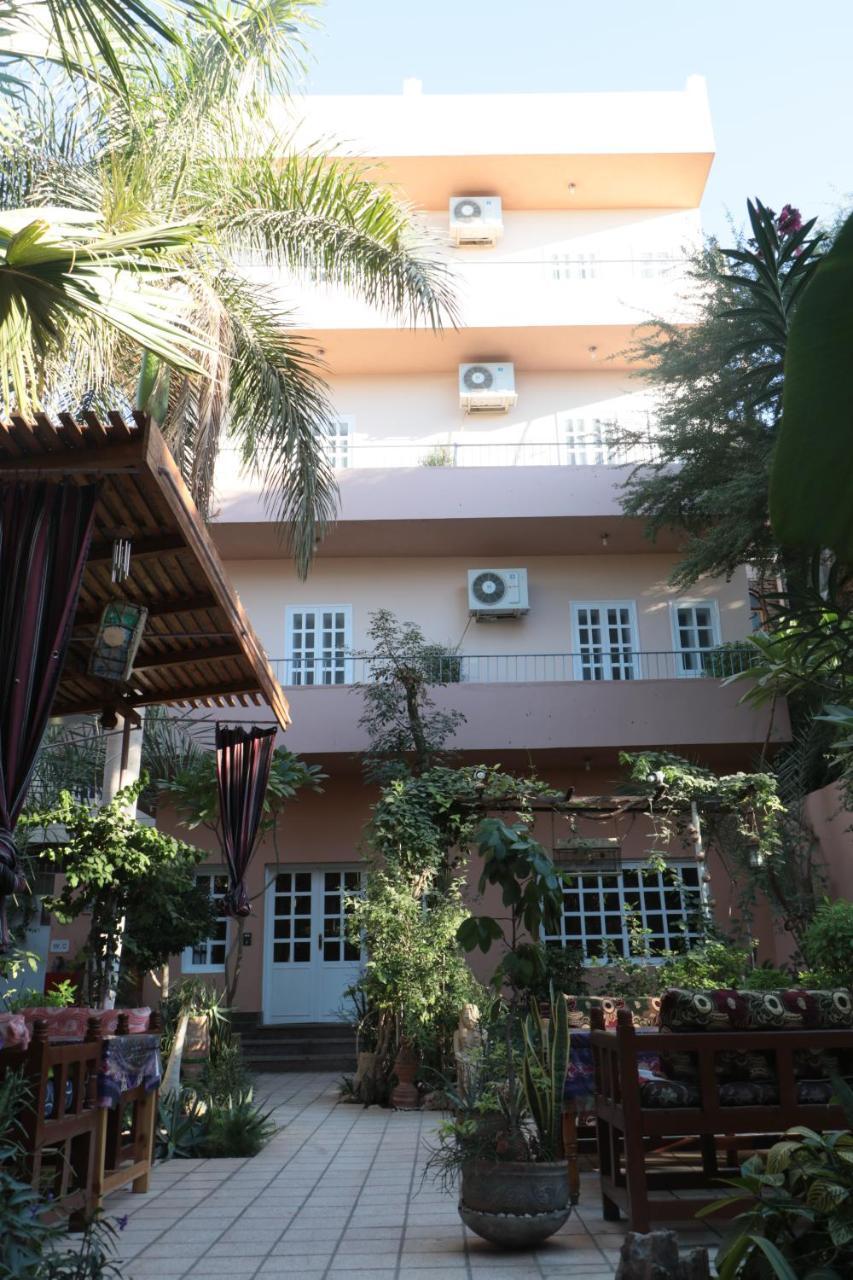 לוקסור Amon Hotel מראה חיצוני תמונה