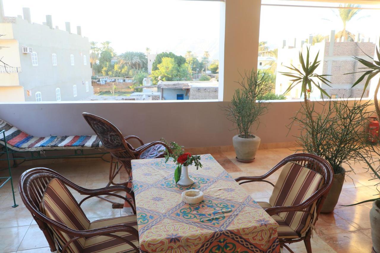 לוקסור Amon Hotel מראה חיצוני תמונה